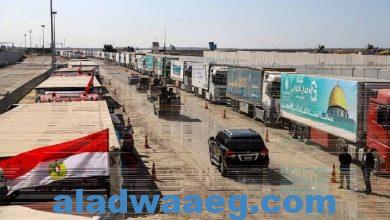 صورة مصدر لـRT : عدد 20 شاحنة من المساعدات جاهزة لدخول غزة عبر رفح