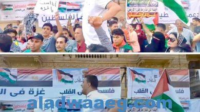صورة كيان إرادة شباب مصر تندد بالعدوان الاسرائيلي وتؤيد قرارات الرئيس السيسى