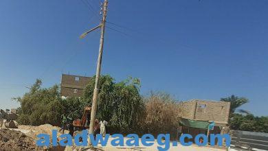صورة حلمي يتابع استمرار العمل فى تركيب كابلات الكهرباء الأرضية بمنطقة دير الشهداء بالقرايا