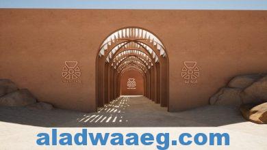 صورة عودة التجربة الصحراوية المميزة التي تقدمها دائرة الثقافة والسياحة – أبوظبي في قرية ليوا