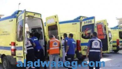 صورة وزارة الصحة المصرية وصول 19 مصابا فلسطينيا من قطاع غزة