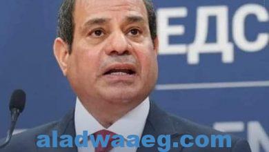 صورة الرئيس المصري: ضرورة استغلال قدرات إفريقيا ومواردها الاقتصادية الهائلة