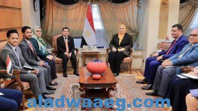 صورة وزيرة التضامن تستقبل سفير ماليزيا بالقاهرة لمناقشة إجراءات الإغاثة الإنسانية للأشقاء الفلسطينيين