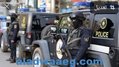 صورة القبض على 8 أشخاص لاستيلائهم على مبلغ مالى من أحد الأشخاص بإنتحال صفة رجال شرطة بالإسكندرية