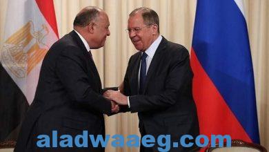 صورة مصر تطلب من روسيا استخدام عضويتها في مجلس الأمن للتوصل لاتفاق وقف إطلاق النـ ـار في غـ ـزة
