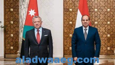 صورة الرئيس السيسي والملك عبد الله يؤكدان ضرورة إستمرار العمل المكثف للتوصل إلى وقف دائم لإطلاق النـ ـار في غـ ـزة