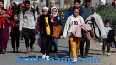 صورة مصر.عودة المواطنين الفلسطينيين العالقين في محافظة شمال سيناء إلى قطاع غزة