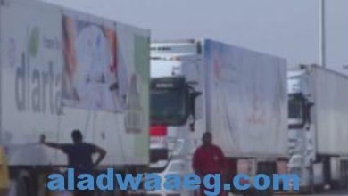 صورة الأخبار: شاحنتا وقود جديدتان و90 شاحنة مساعدات تفرغ حمولتها في غزة