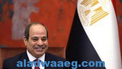 صورة مجلس الأسرة العربية للتنمية يهنئ الرئيس السيسي على ثقة الشعب المصري لاختياره رئيسا لولاية جديدة
