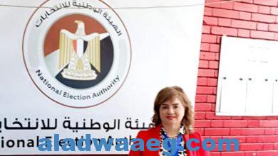 صورة مجلس الشباب المصري للتنمية يشارك في متابعة الانتخابات الرئاسية