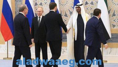 صورة بوتين: الإمارات العربية المتحدة أكبر شريك تجاري لنا في العالم العربي