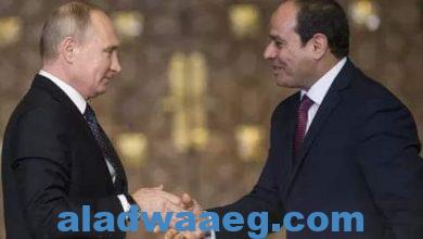 صورة بعد الفيتو الأميركي.. تحرك روسي مصري لوقف النار بغزة مصر