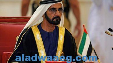 صورة حاكم دبي يمنح اقتصاديا مصريا مشهورا جائزة نوابغ العرب