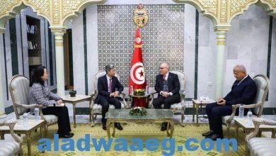 صورة وزير خارجية تونس يعقد جلسة مباحثات مع سفير جمهورية الصين الشعبية