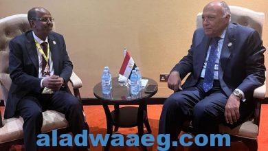 صورة وزير الخارجية المصري يلتقي وزير خارجية جيبوتي