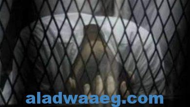 صورة الحكم بالسجن المشدد 15 سنة لموظف قتل زوجته لشكه في سلوكها بالجيزة