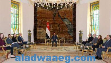 صورة استقبل السيد الرئيس عبد الفتاح السيسي عضوي مجلس الشيوخ عن الحزب الديمقراطي