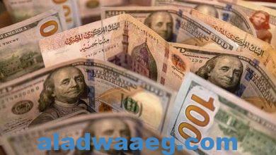 صورة وثيقة تكشف سعر الدولار المتوقع في مصر من صندوق النقد حتى 2028