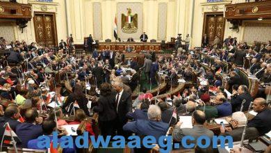 صورة هجوم غير مسبوق من برلماني مصري على وزير التموين