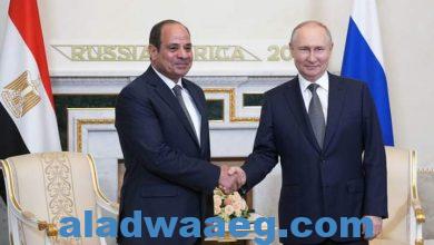 صورة روسيا تعطي دفعة قوية لإقتصاد مصر”.. خبير يتحدث لـRT عن أهمية خطوة “روس أتوم”