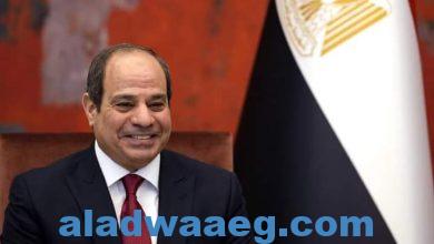 صورة بعد 10 سنوات.. السيسي يوافق على استحدث مادة قانونية جديدة في مصر
