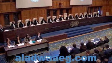 صورة محاكمة إسرائيل أمام محكمة العدل الدولية