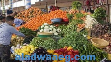 صورة أسعار الخضروات والفاكهة اليوم الإثنين الموافق 29 يناير