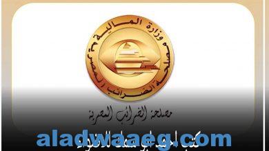 صورة أعلنت رشا عبد العال رئيس مصلحة الضرائب المصرية، عن بدء موسم الإقرارات الضريبية لعام ٢٠٢٣ / ٢٠٢٤