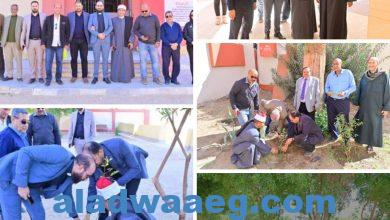 صورة حملة تشجير بزراعة 150 شجرة بمدينة نقادة