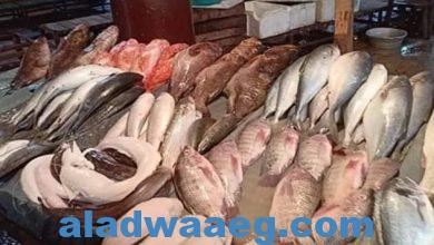 صورة أسعار الأسماك اليوم الأحد ١٨ فبراير