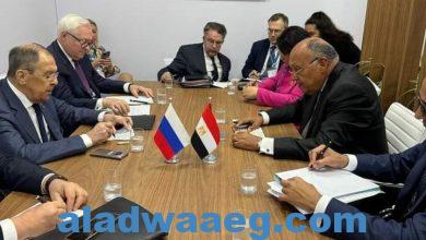 صورة وزير الخارجية يلتقى مع نظيره الروسي على هامش اجتماعات وزراء خارجية مجموعة العشرين في البرازيل