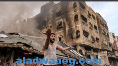 صورة 10 مجازر خلال 24 ساعة في غزة