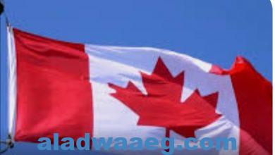صورة كندا وأستراليا ونيوزيلندا دعت إلى وقف فوريّ لإطلاق النار في غزة*