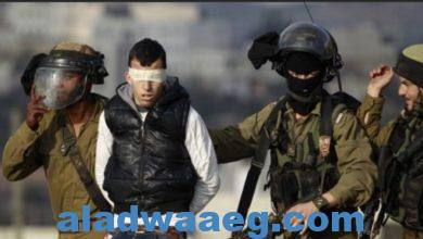صورة اسرائيل تعتقل 20 فلسطينياً في الضفة