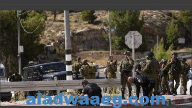 صورة إعلام إسرائيلي عملية إطلاق نار شمال كريات ملاخي.. وسقوط قتلى واصابات (صورة)