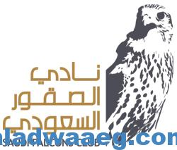 صورة نادي الصقور يدعم مبادرة “السعودية الخضراء” بالتوازن البيئي