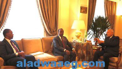 صورة وزير الدولة القائم بأعمال وزير الخارجية الصومالي يلتقي مع الأمين العام لجامعة الدول العربية