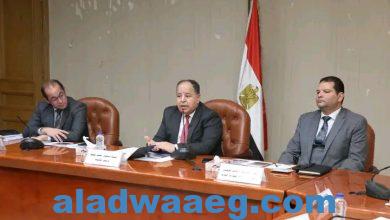 صورة وزير المالية الأوضاع  الاقتصادية فى مصر تتحسن.. و«الفترة اللى جاية أفضل»
