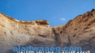 صورة الحماية المدنية في مصر تنقذ طالبًا تعثر أعلى سفح جبل في المعادي