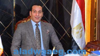 صورة محمد فاروق: مصر من أهم الدول الجاذبة للإستثمار الأجنبي المباشر والغير مباشر