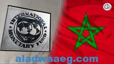 صورة موقع “إنسايدر مانكي” : المملكة المغربية ضمن الدول الأكثر مديونية لصندوق النقد الدولي
