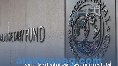 صورة أول تحرك من صندوق النقد الدولي بعد تعويم الجنيه في مصر.