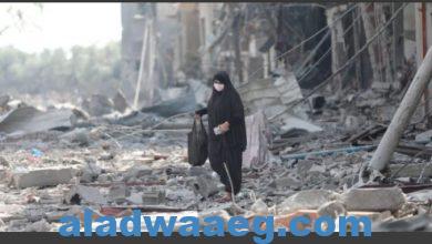 صورة السفارة الإيرانية في “يوم المرأة”: 9 آلاف إمرأة قتلن بدم بارد في فلسطين
