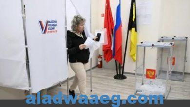 صورة في اليوم الأخير.. كم بلغت نسبة التصويت في الإنتخابات الروسية؟