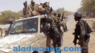 صورة قياديان يستسلمان للجيش النيجيري والإفراج عن مائتي مقاتل سابق أعلنوا التوبة من «الإرهاب»