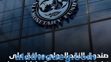 صورة صندوق النقد الدولي يوافق على زيادة قرض مصر بنحو 5 مليارات دولار
