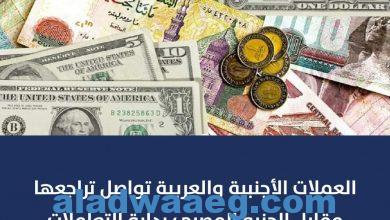 صورة تراجع سعر صرف الدولار البنك الأهلي المصري وبنك