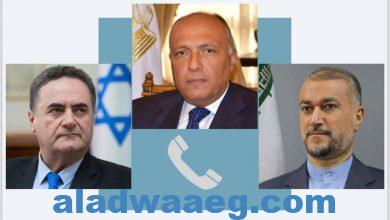 صورة وزير الخارجية يجرى اتصالات هاتفية مع وزيري خارجية إيران وإسرائيل