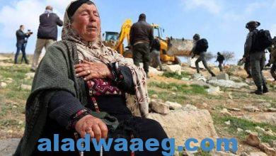 صورة الأم الفلسطينية رمز الصمود