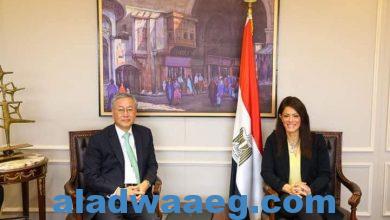 صورة المشاط : تلتقي السفير الكوري لدى مصر لبحث مواصلة تطوير العلاقات الاقتصادية المشتركة